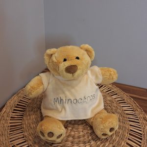 ourson peluche brodé